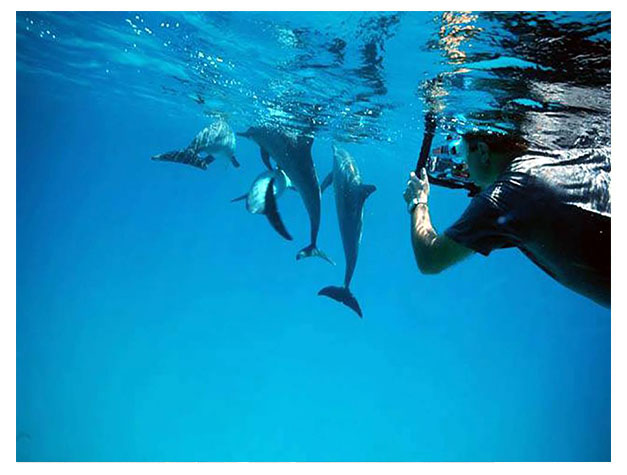 Diving & Snorkeling in Zanzibar