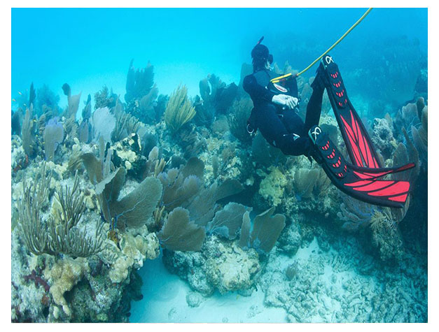 Third Lung Diving in Zanzibar