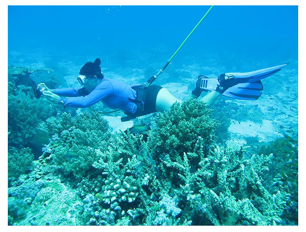 Third Lung Diving in Zanzibar