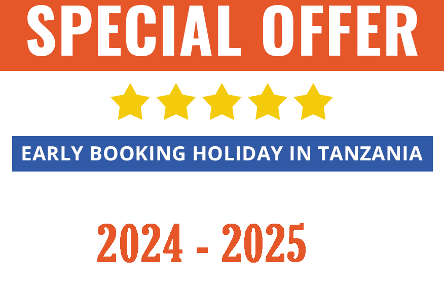 tours in zanzibar