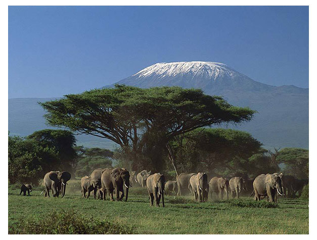 Kilimanjaro National Park