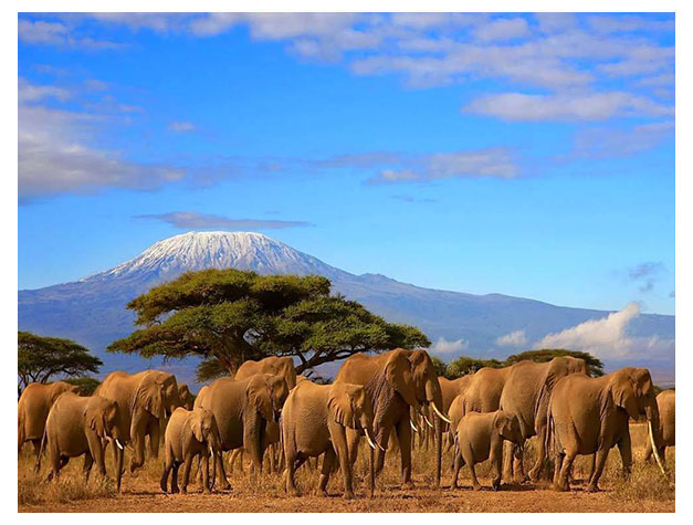 Kilimanjaro National Park