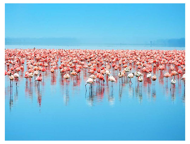 Lake Manyara National Park