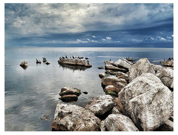 Rubondo Island National Park